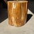 Oval Side Table in Petrified Wood, 1980s For Sale - Image 13 of 18