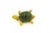 Nephrite Jade Textured Turtle Yellow Gold Brooch Pin For Sale In Miami - Image 6 of 6