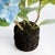 Realism Hydrangea Drop-In 18" For Sale - Image 3 of 3