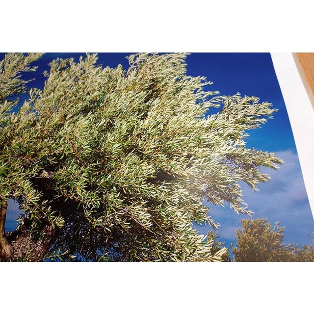 Ian Sanderson, Olivier, Fine Art Print, 2005 For Sale - Image 7 of 9