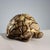 European Sculpture in Septarian Stone For Sale - Image 9 of 9
