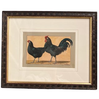 Early 1900s Kramer Poultry Chromolithograph, Framed For Sale