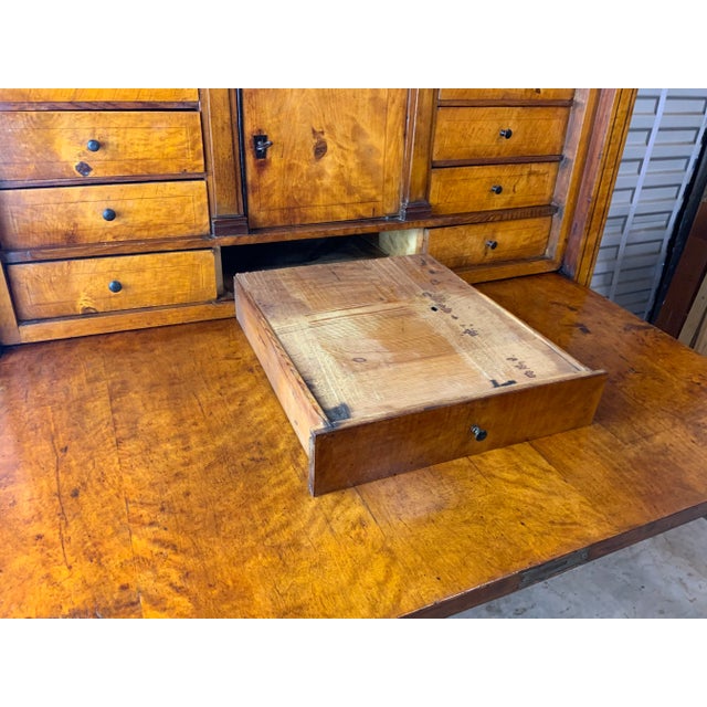 Biedermeier Maple and Ebony Abbatant With Architectural Pediment For Sale - Image 11 of 12