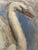 Maurice Barraud, Leda, 1927, Oil on Canvas, Framed For Sale - Image 8 of 15