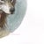 Amanda Immurs, an artist hailing from Hamilton, Canada, creates enchanting watercolor artworks that bring whimsical scenes...