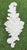 French Country Vintage Giant 36” Acanthus Leaf Architectural Wall Planter / Wall Pocket For Sale - Image 3 of 11