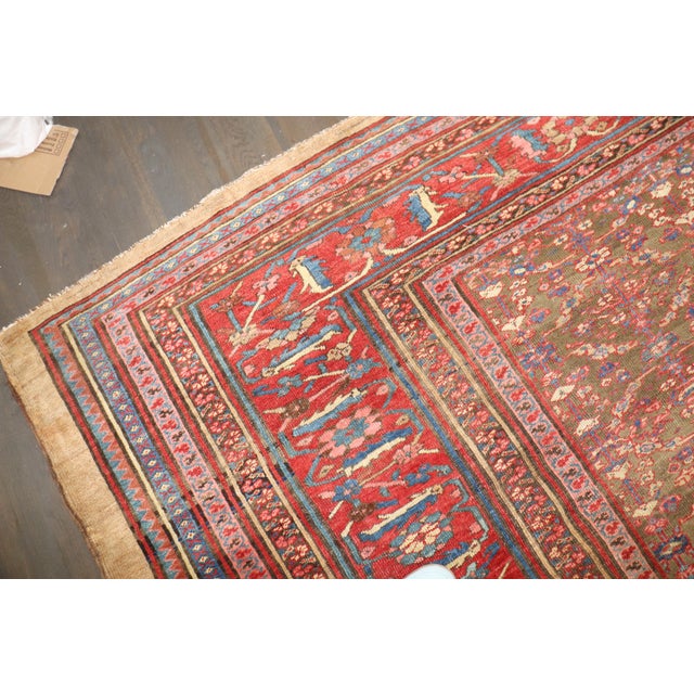 19th Century Bakshaish Square Rug, 12' X 13'7'' For Sale In New York - Image 6 of 15
