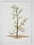 Contemporary Early 21st Century Sparse Christmas Tree Watercolor Painting For Sale - Image 3 of 3