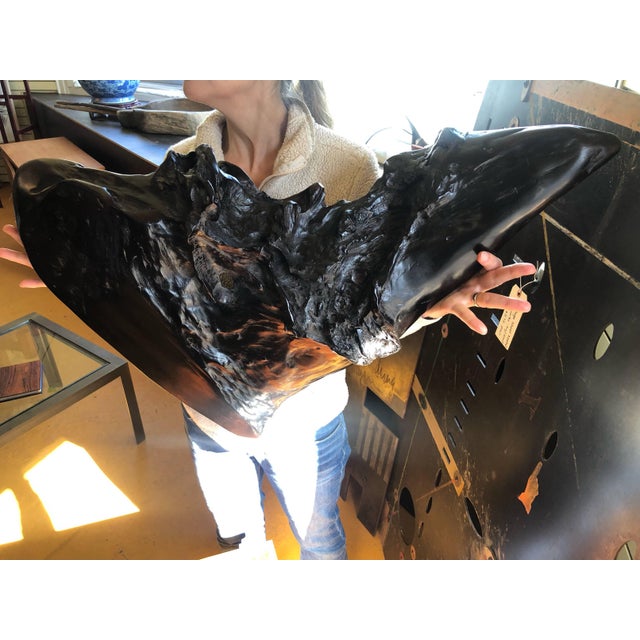 Wood Large Irregular Shaped Burl Bowl For Sale - Image 7 of 12