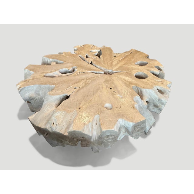 Andrianna Shamaris Bleached Teak Wood Organic Coffee Table For Sale - Image 11 of 18