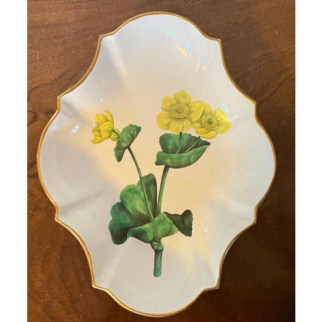 Antique Early 19th Century English Creamware Botanical Dessert Dish Decorated With Meadowboult Specimen Th & C. For Sale - Image 10 of 12