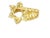 Star of David Diamond Cut Design 10k Yellow Gold Ring For Sale