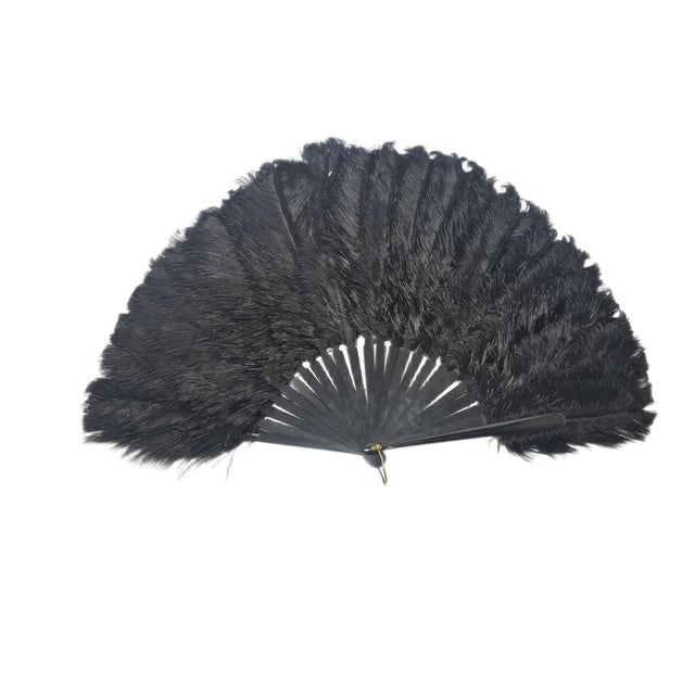 Art Deco Polish Autriche Feather Fan, 1920s For Sale - Image 6 of 16
