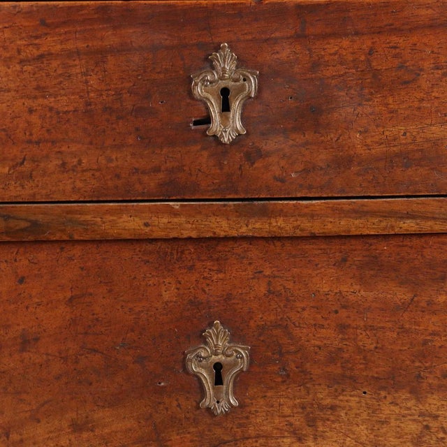 Chest of Drawers in Walnut For Sale - Image 6 of 11