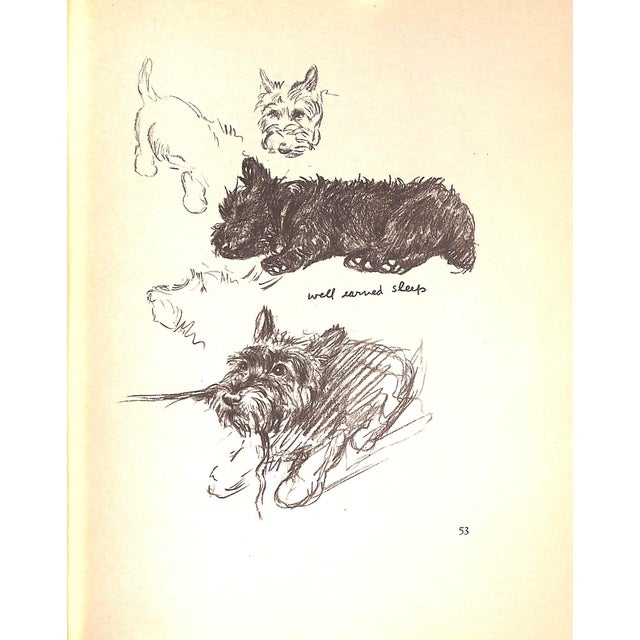 "Dogs Rough and Smooth" Book 1973 Dawson, Lucy For Sale - Image 9 of 12