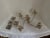 Silver Antique 19th Century Sheffield Silver Co. Candelabrum, Circa 1877 For Sale - Image 8 of 11
