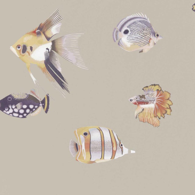 Harlequin Kamanu Wallpaper in Mandarin/Fig - a Sample For Sale