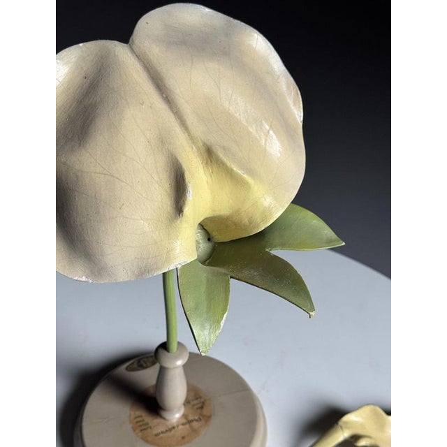 German Botanical Flower Model, 1900 For Sale - Image 13 of 18