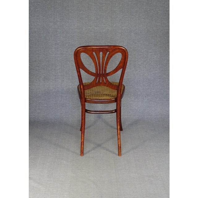 Brown Chairs No. 642 Butterfly Model by Michael Thonet, 1910, Set of 3 For Sale - Image 8 of 15