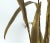 Overscale Brutalist Torch-Cut Cattail Sculpture Attributed to Curtis Jere For Sale - Image 10 of 13