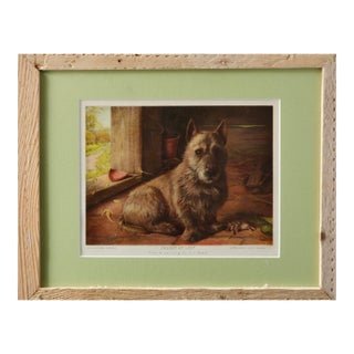 “Caught at Last” — Late 1800s English Sporting Dog Lithograph For Sale