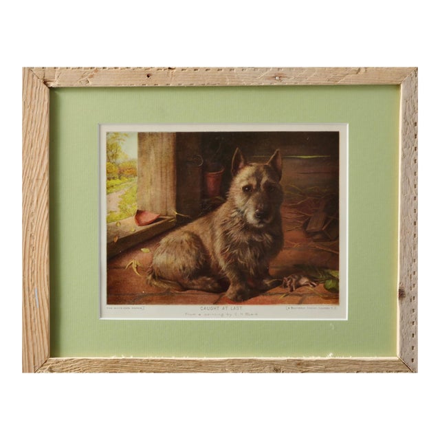 “Caught at Last” — Late 1800s English Sporting Dog Lithograph For Sale