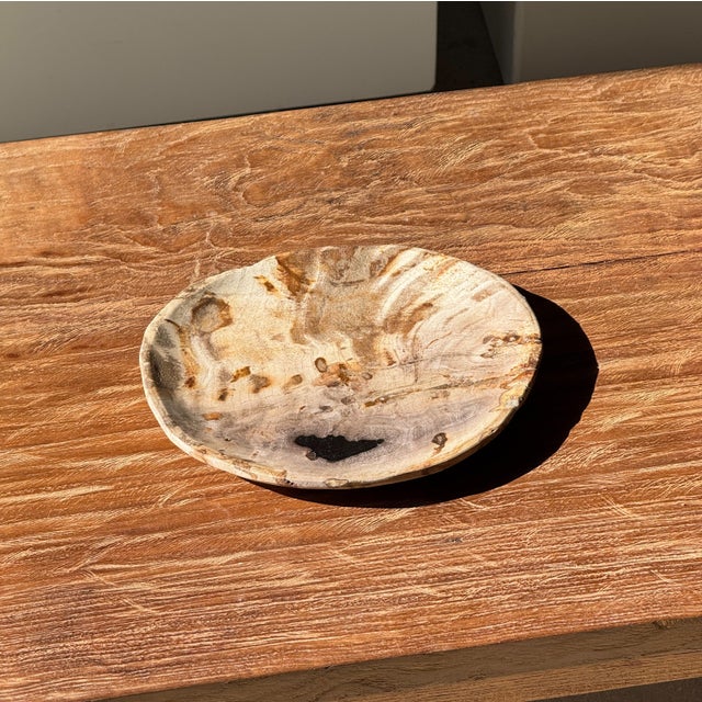 Beige Small Trinket Dish in Beige Petrified Wood with Black Spots For Sale - Image 8 of 9