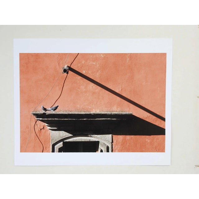 Photograph on paper abstract composition of terracotta building and pigeons. Unsigned. Unframed, corner crease.
