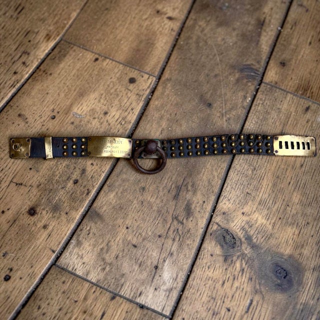 French Studded Leather Dog Collar with Brass Nameplate, 19th Century For Sale - Image 5 of 8