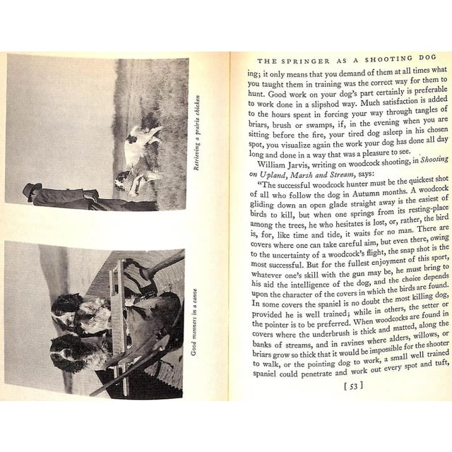 Paper "The English Springer Spaniel in America" 1932 Ferguson, Henry Lee For Sale - Image 7 of 12