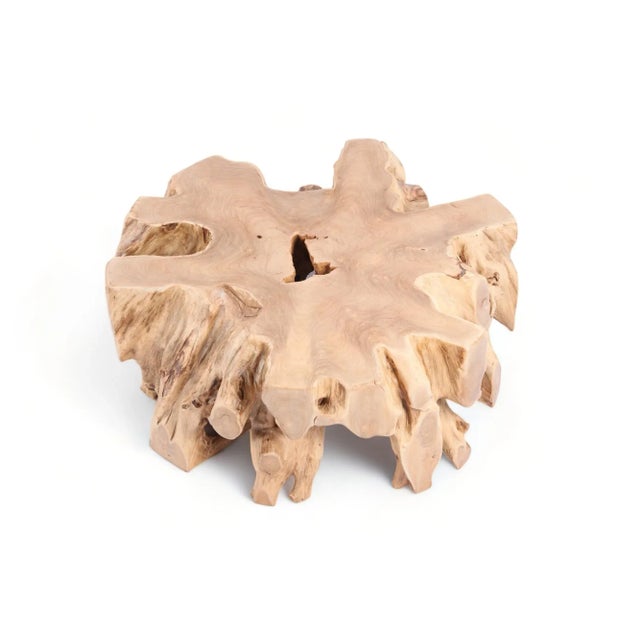 Round Teak Root Coffee Table 19 | Chairish