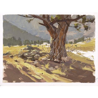 021 - Plein Air-Elk Meadow, CO, 3/26/22 by Judd Mercer | Gouache Painting of a tree in a meadow For Sale