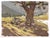 021 - Plein Air-Elk Meadow, CO, 3/26/22 by Judd Mercer | Gouache Painting of a tree in a meadow For Sale