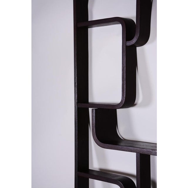 Room Divider by Ludvik Volak for Drevopodnik Holesov, 1960s For Sale - Image 4 of 10