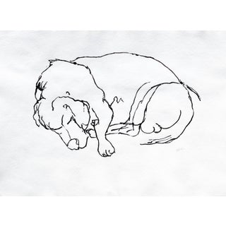 Martha Holden "Beagle Dog Asleep" Contemporary Modern Drawing For Sale