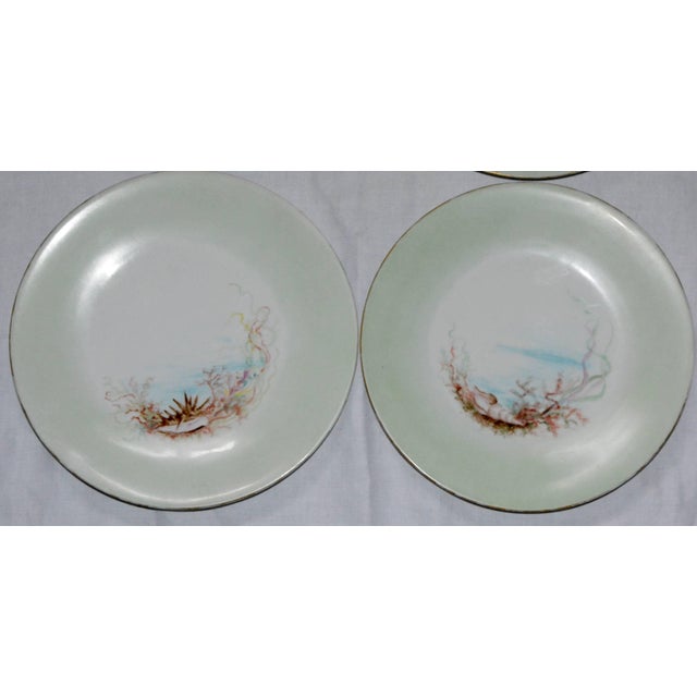 French Limoges T & V French Plates With Seashell Paintings by m.h. Dismukes in 1898 For Sale - Image 3 of 8