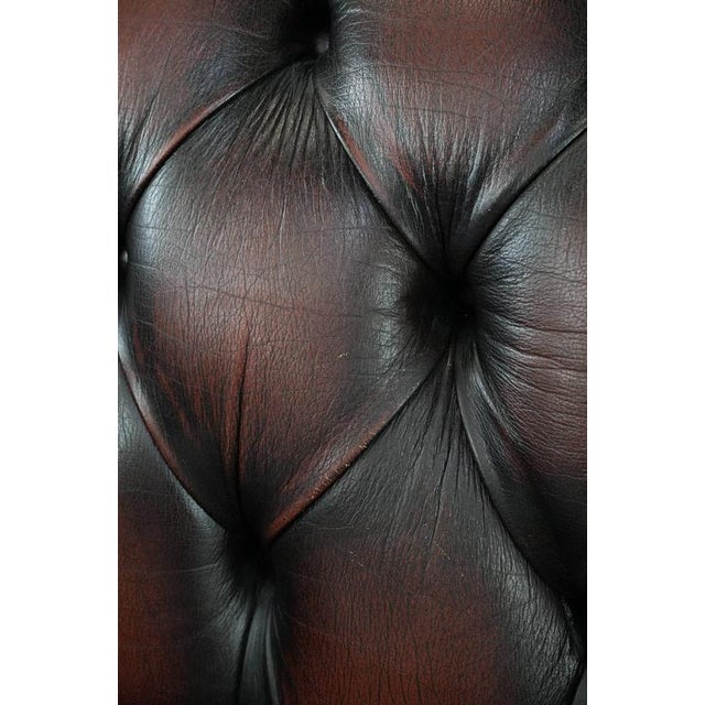 English Style Red-Brown Cowhide Chesterfield Sofa For Sale - Image 15 of 16