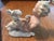 Traditional German Bisque Boy With Dog For Sale - Image 3 of 6