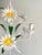 Mid-Century Modern Italian White Tole Daisy 3-Light Chandelier, 1970s For Sale - Image 3 of 18