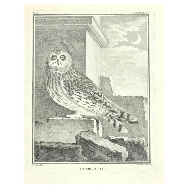 Jacques Blanchon, La Chouette, Etching by Jacques Blanchon, 1771, 1800s, Etching For Sale