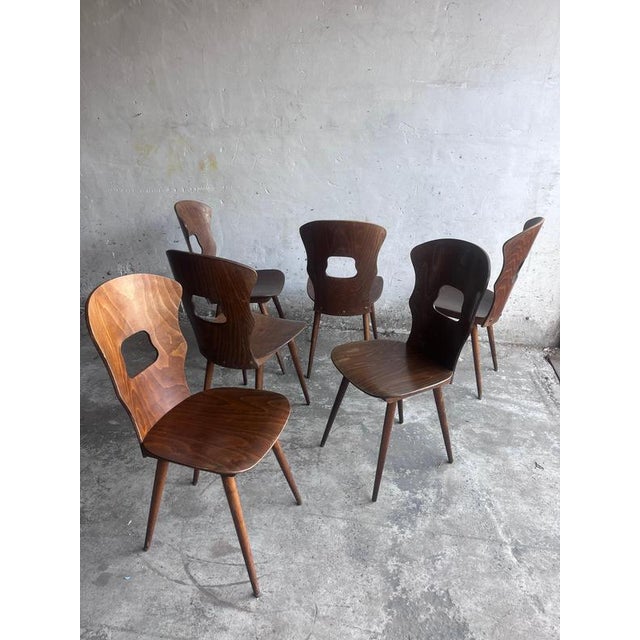 Plywood Dining Chairs from Baumann, France, 1950s, Set of 6 For Sale - Image 6 of 9