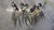 8 forks 7 very large forks 8 knives 16 spoons 12 tall spoons 6 very large spoons