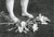Aleksandra Kalisz, Rest, 2025, Pencil on Paper For Sale - Image 6 of 6