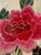 Wood Vintage Chinese Silk Hand Embroidery in a Custom Gilt Bamboo Wood Frame For Sale - Image 7 of 12