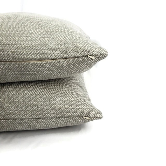 2020s Contemporary Perennials Nit Witty in Nickel Indoor/Outdoor Pillow Cover For Sale - Image 5 of 7