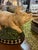 1970s 1970s Ceramic Rustic Style Pig Decorative Piece For Sale - Image 5 of 5