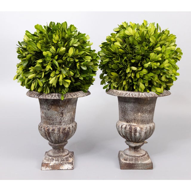 A charming petite pair of antique French Neoclassical style cast iron garden urns or planters with the original surface...
