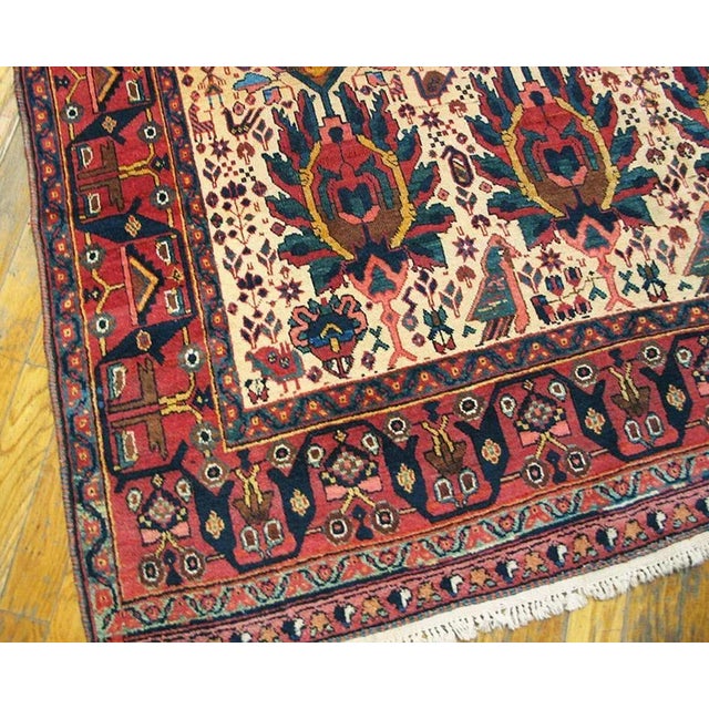 Late 19th Century Late 19th Century S.E. Persian Afshar Carpet ( 5'2" x 6'7" - 157 x 201 ) For Sale - Image 5 of 8