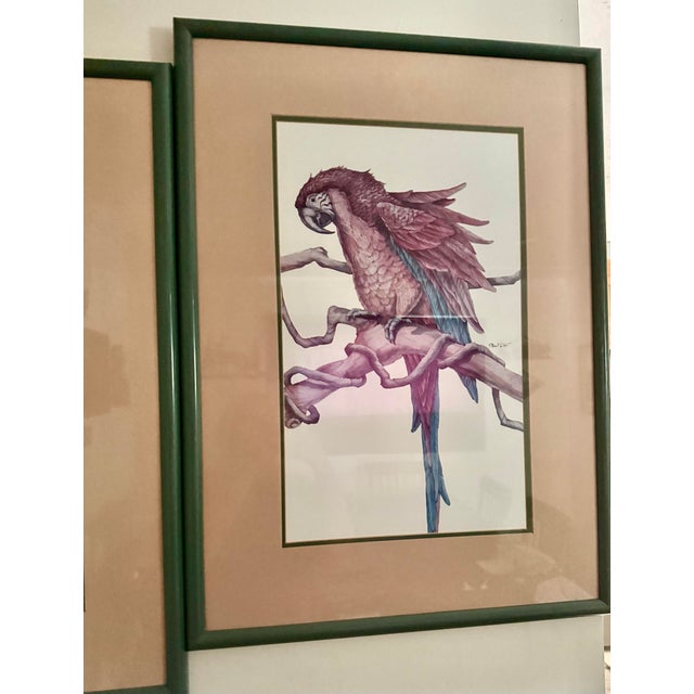 Art Deco 1980s Parrot Framed Prints by Paul Brent - Set of 2 For Sale - Image 3 of 12