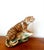 Glazed Ceramic Tiger, 1940-1950 For Sale - Image 4 of 11